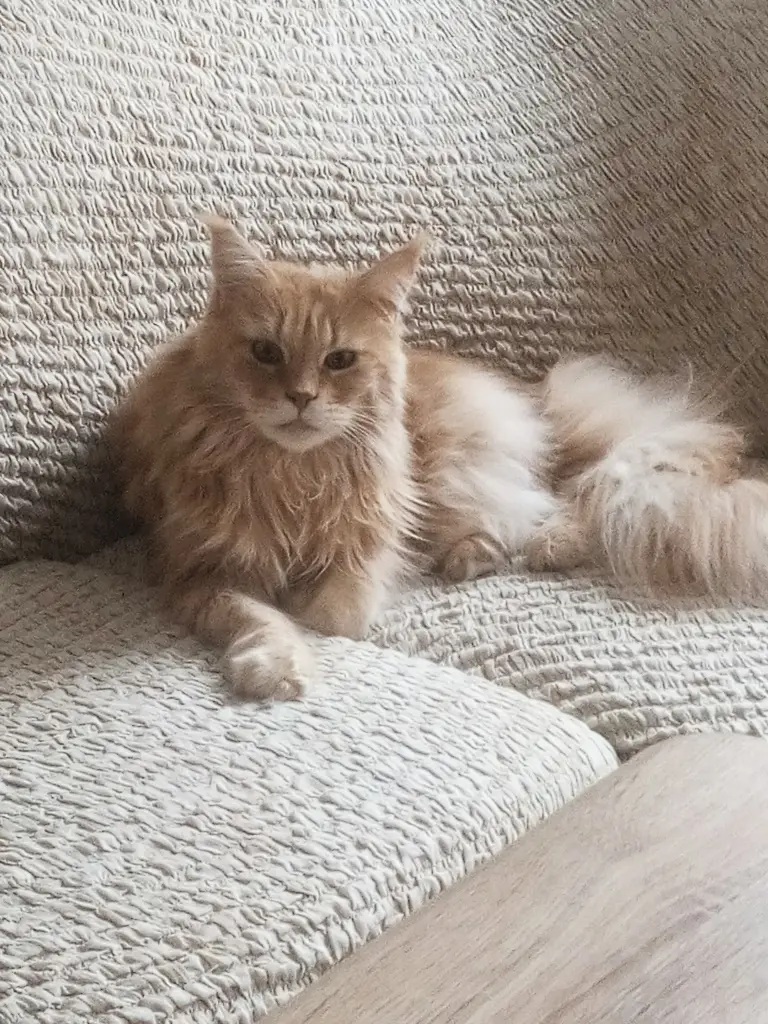 Condolence image of Cathleen