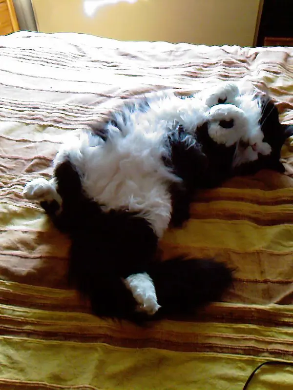 Condolence image of Hanne