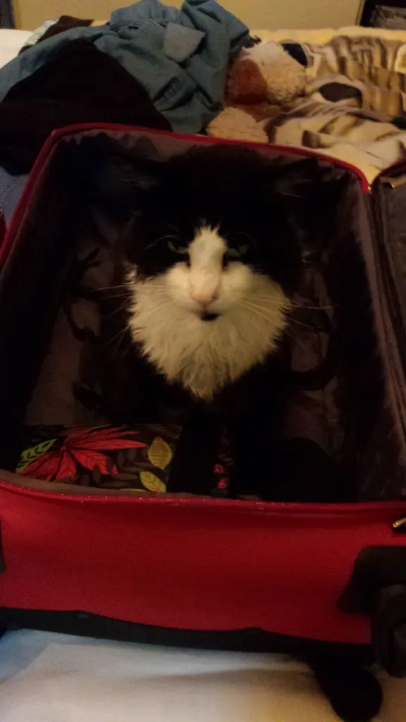 Condolence image of Hanne