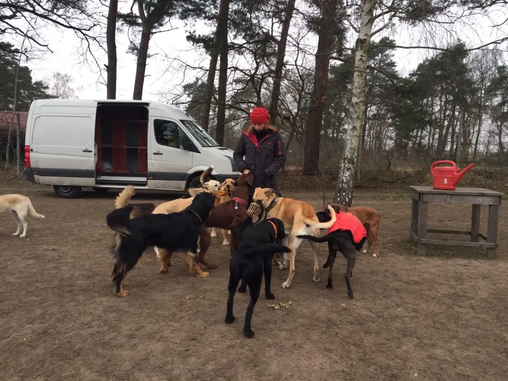 Condolence image of Cori