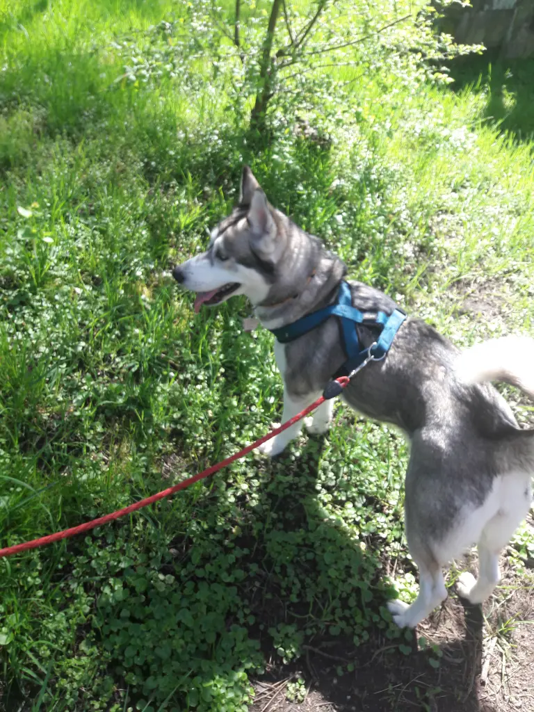 Condolence image of Unbekannt