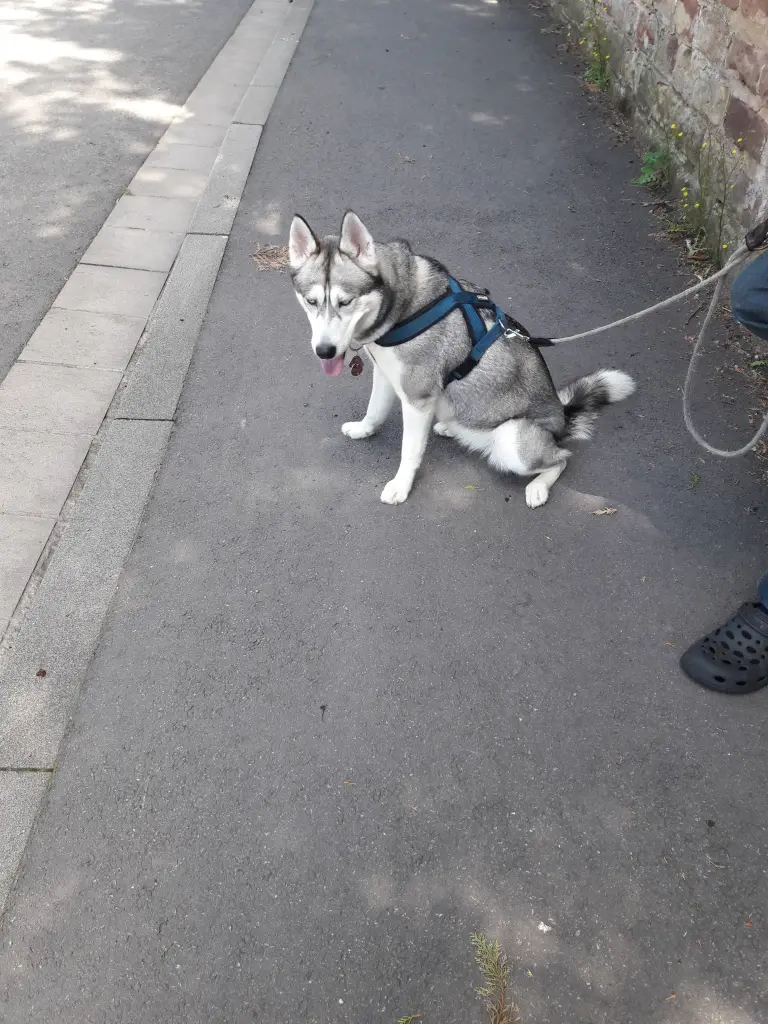 Condolence image of Unbekannt