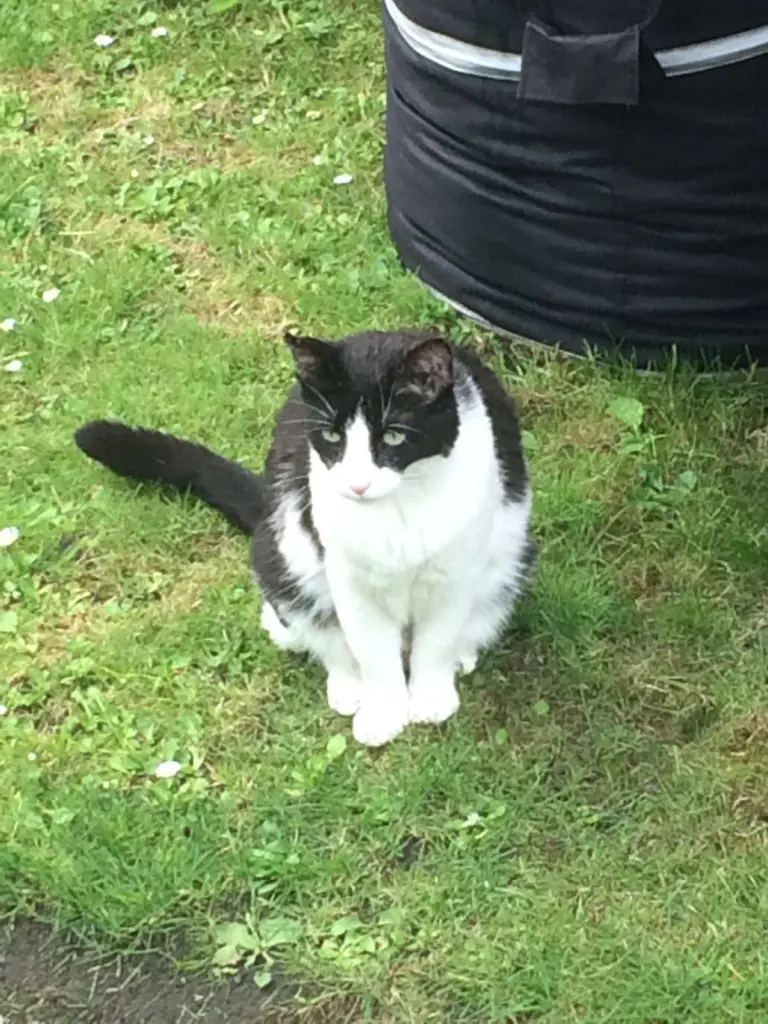 Condolence image of Monika mit Carlo, gestorben am 10. Juli 2017