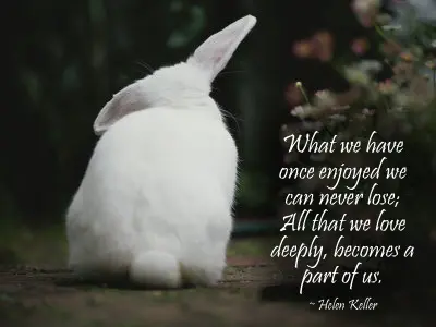 Condolence image of Silke mit Krümel im Herzen 