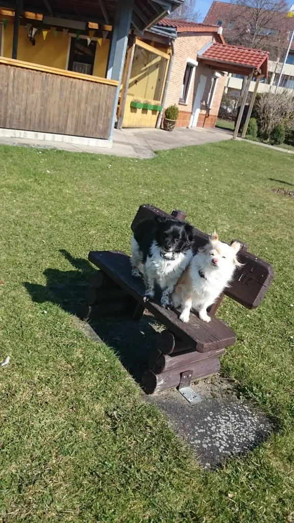 Andachtsbild von Rosina