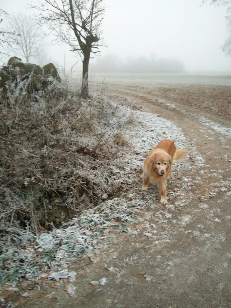 Condolence image of Michael mit ALESCA