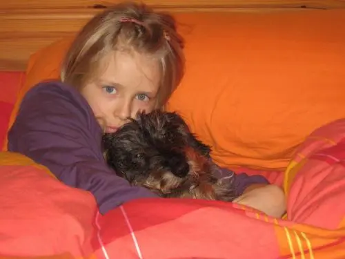 Image from Jule