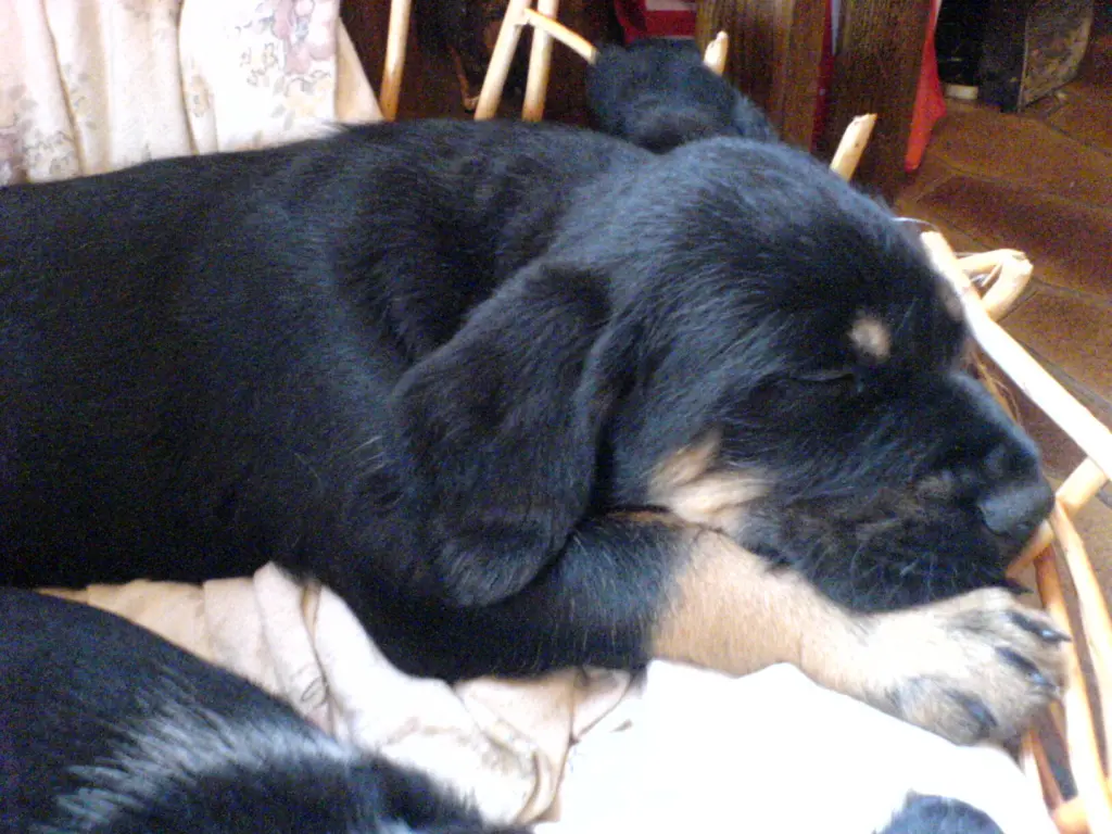 Condolence image of Unbekannt