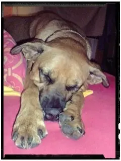 Condolence image of Beatrix