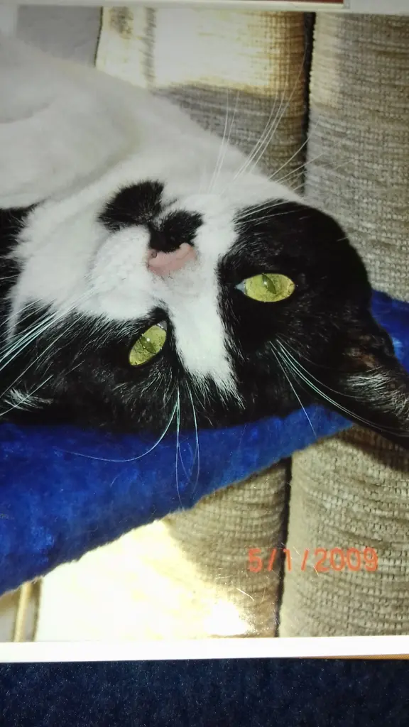 Condolence image of Jacqueline 