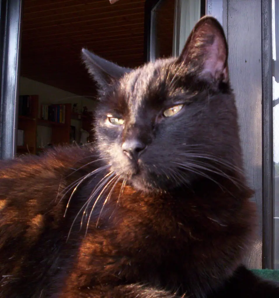 Condolence image of Andrea