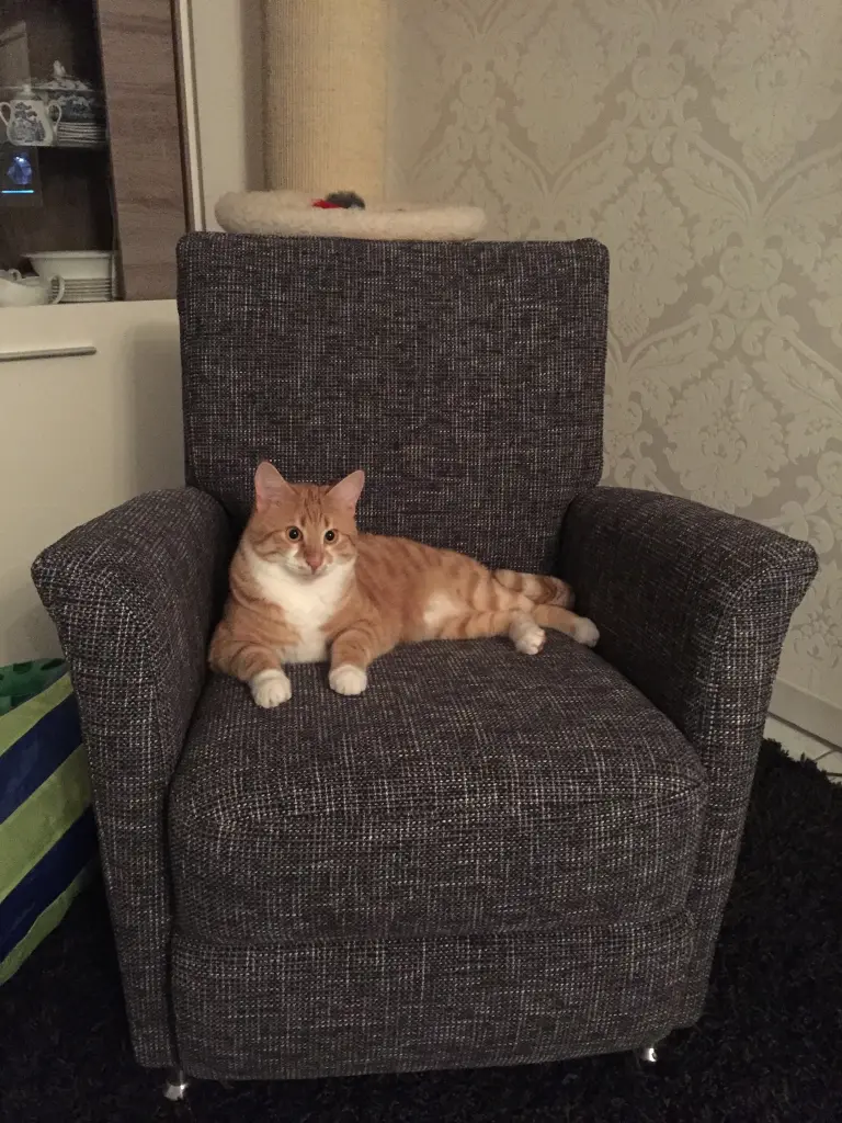 Condolence image of Melanie 