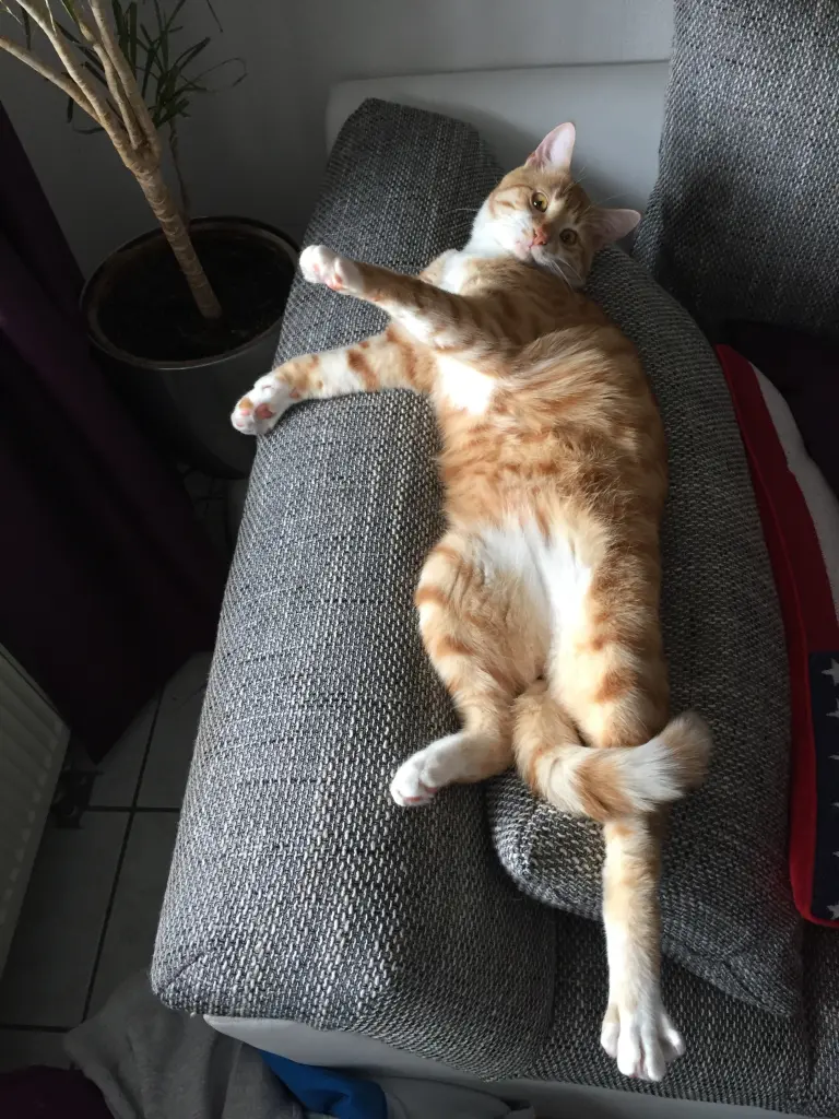 Condolence image of Melanie 