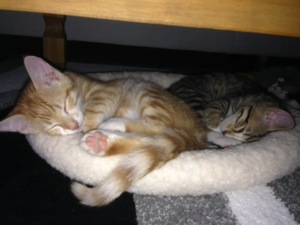 Condolence image of Melanie