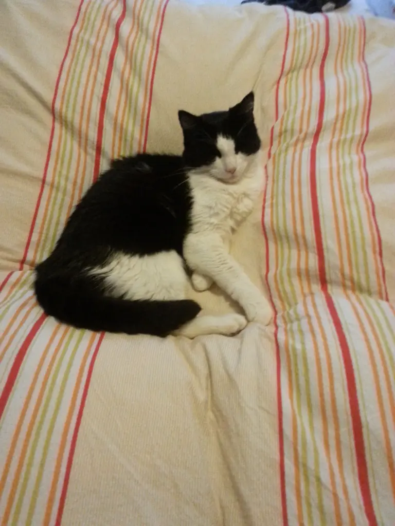 Condolence image of Peter und Marina mit Whisky Gestorben am 25.11.2017