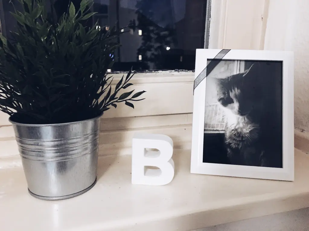 Image from Bumblebee