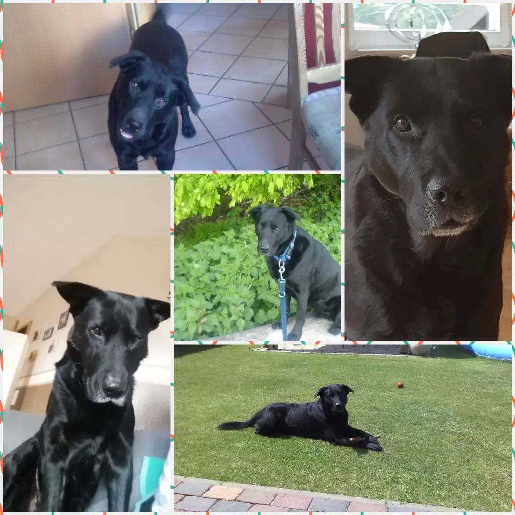 Condolence image of Bettina