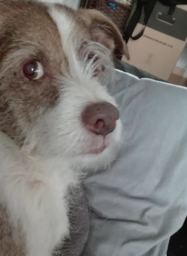 Condolence image of Gabi