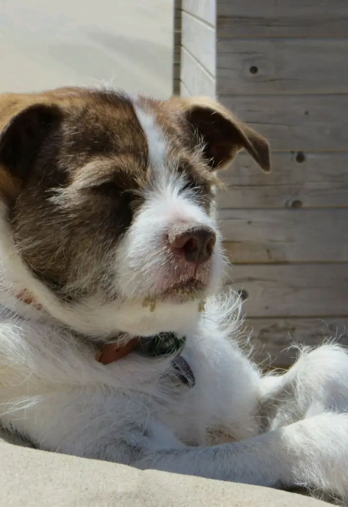 Condolence image of Gabi