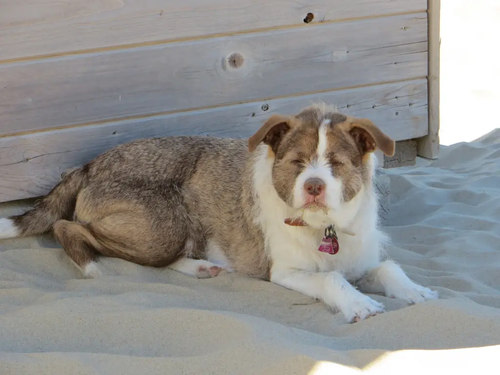 Condolence image of Gabi