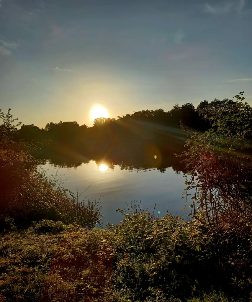 Condolence image of Gabriele