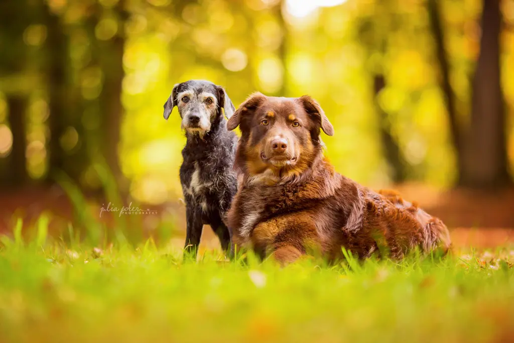 Condolence image of Bianca