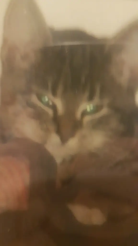 Andachtsbild von Tina m.Püppi