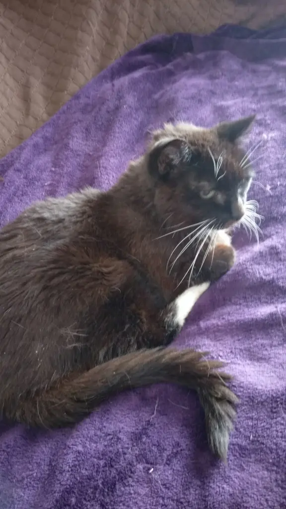 Condolence image of Unbekannt