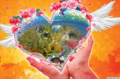Image from meine liebe engelchen wuschelchen und sheila