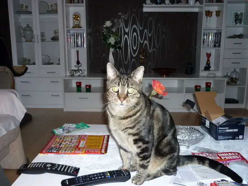 Condolence image of Christiane und Michael