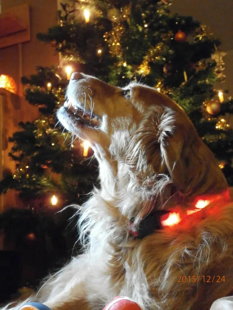 Condolence image of Christiane und Michael