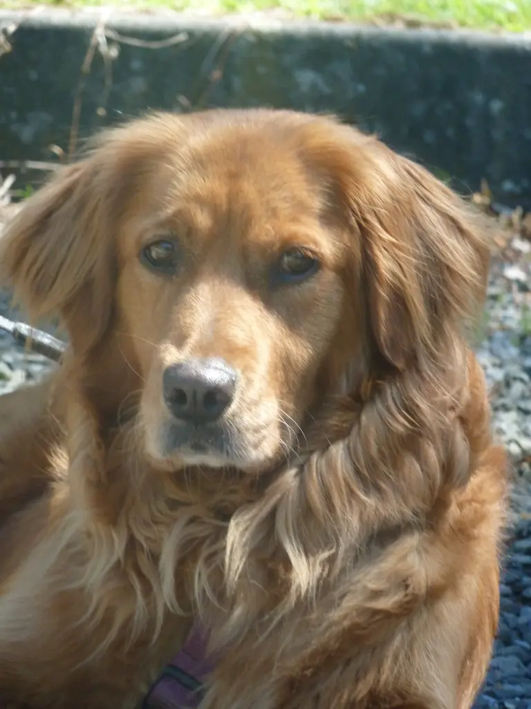 Condolence image of Michael