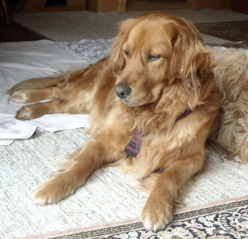 Condolence image of Christiane & Michael