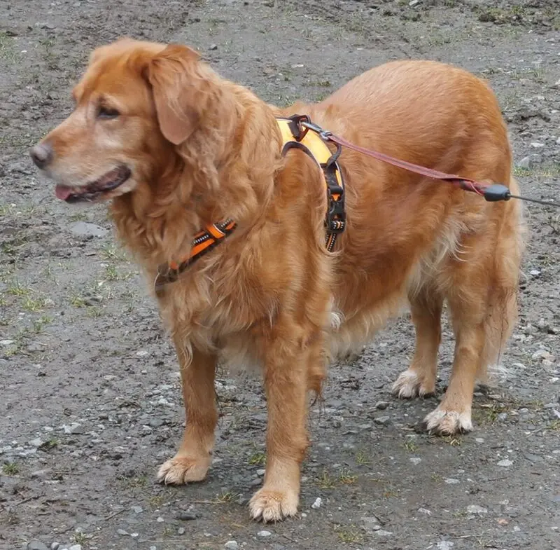 Condolence image of Christiane & Michael