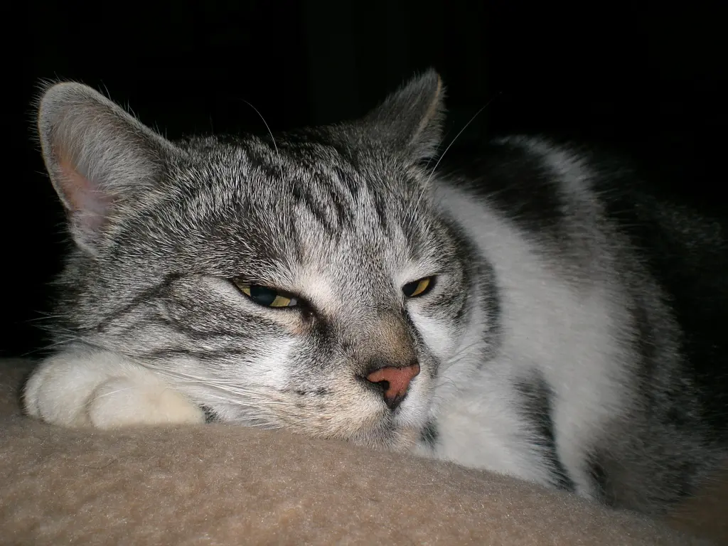 Condolence image of Simone mit Moritz tief im Herzen