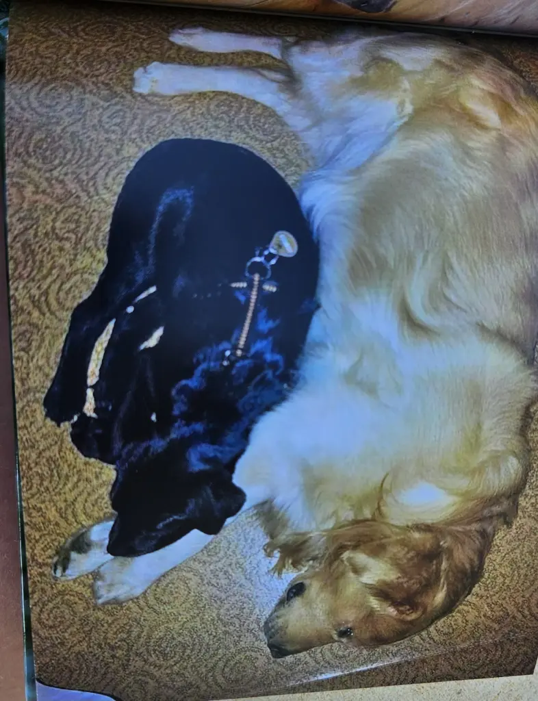 Andachtsbild von Margarete, Patrick, Nele und Lea 