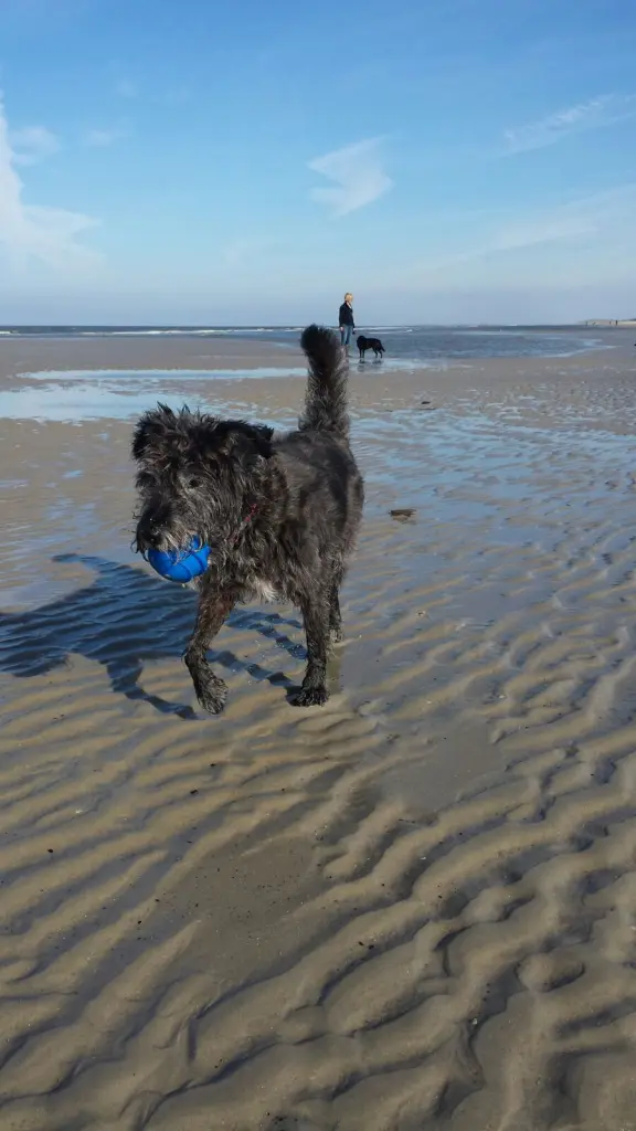 Condolence image of Deine  Familie 