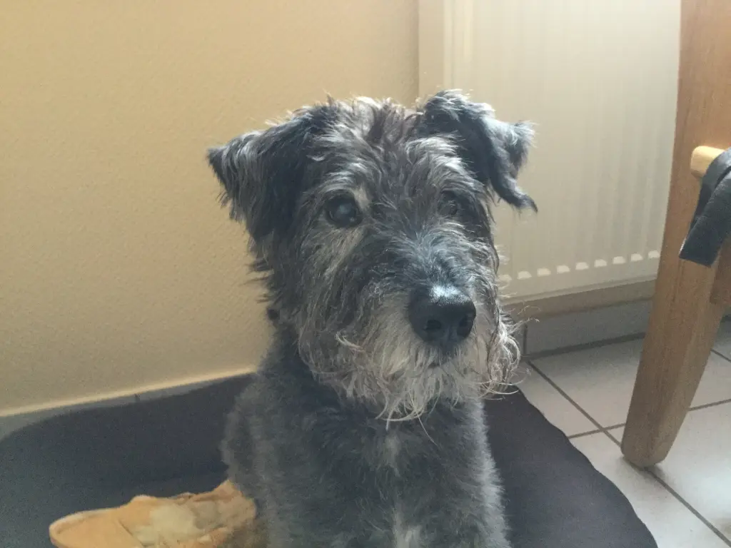 Condolence image of Unbekannt