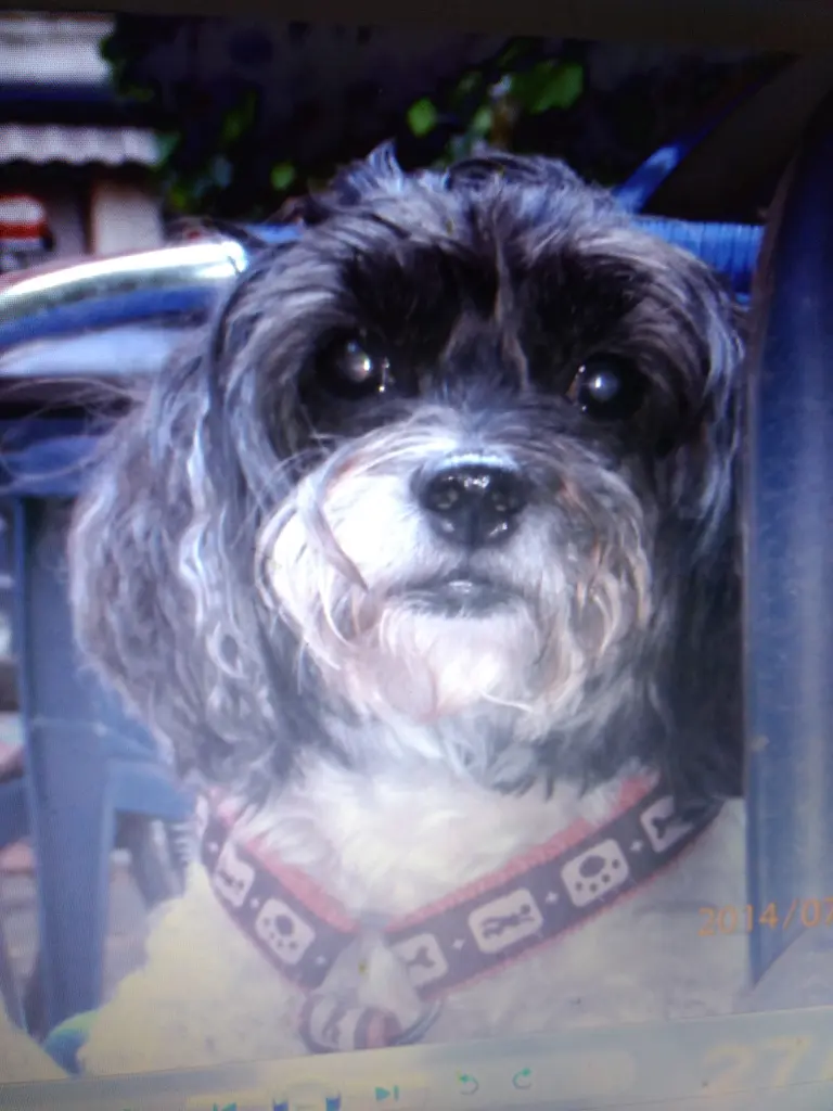 Condolence image of Mami