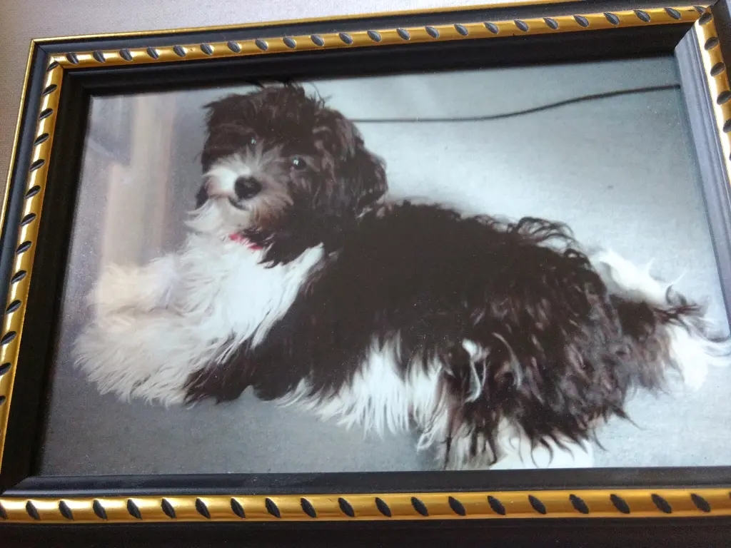 Condolence image of Sigrid