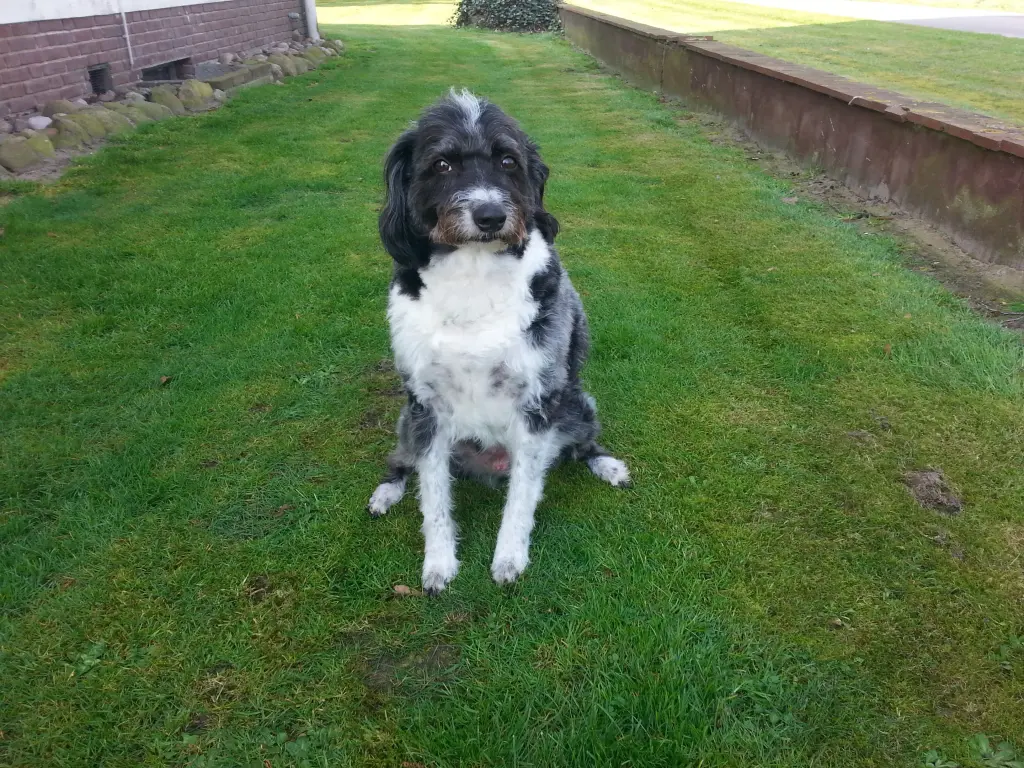 Condolence image of Dirk und Gabi