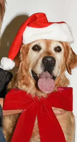 Condolence image of Micha mit Cäsar im Herzen