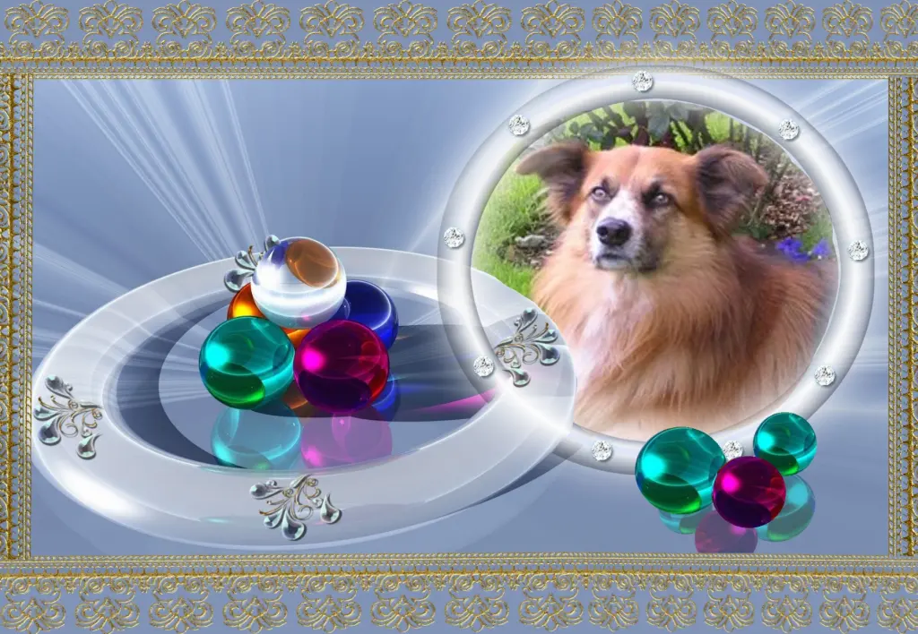 Condolence image of Klaudia mit Misiu❤❤❤Ganz Tief im Herzen❤