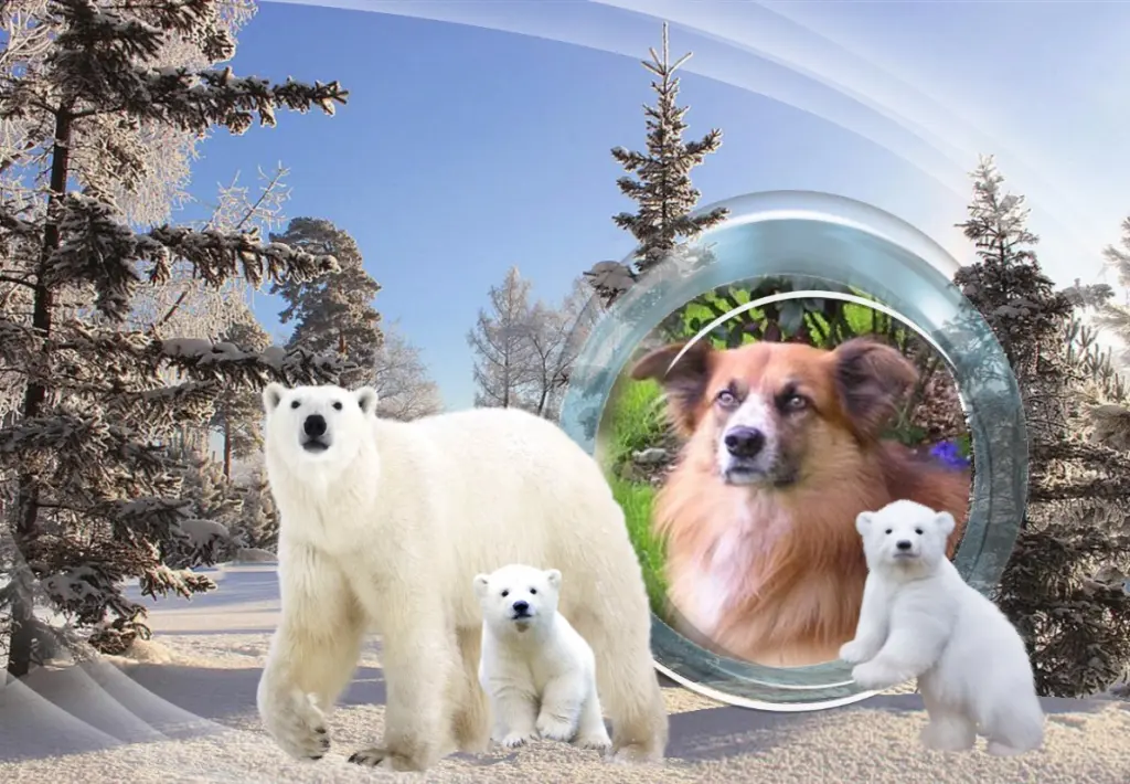 Condolence image of Gute Nacht Susse Amor❤️