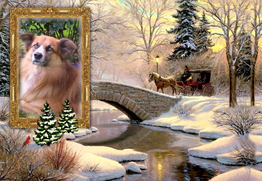 Condolence image of Klaudia mit Misiu❤❤❤Ganz Tief im Herzen❤