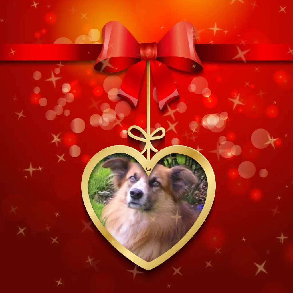 Condolence image of Liebe Amor❤️