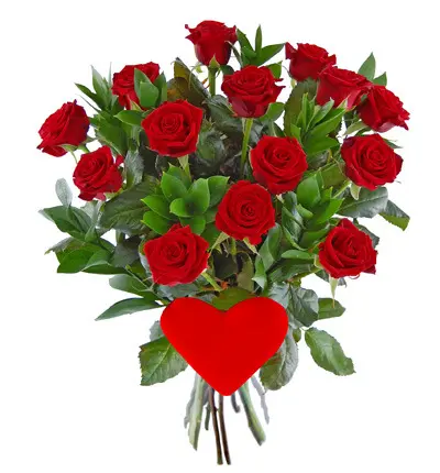 Condolence image of Liebe Anja❤️