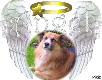 Condolence image of Liebe Amorchen❤️