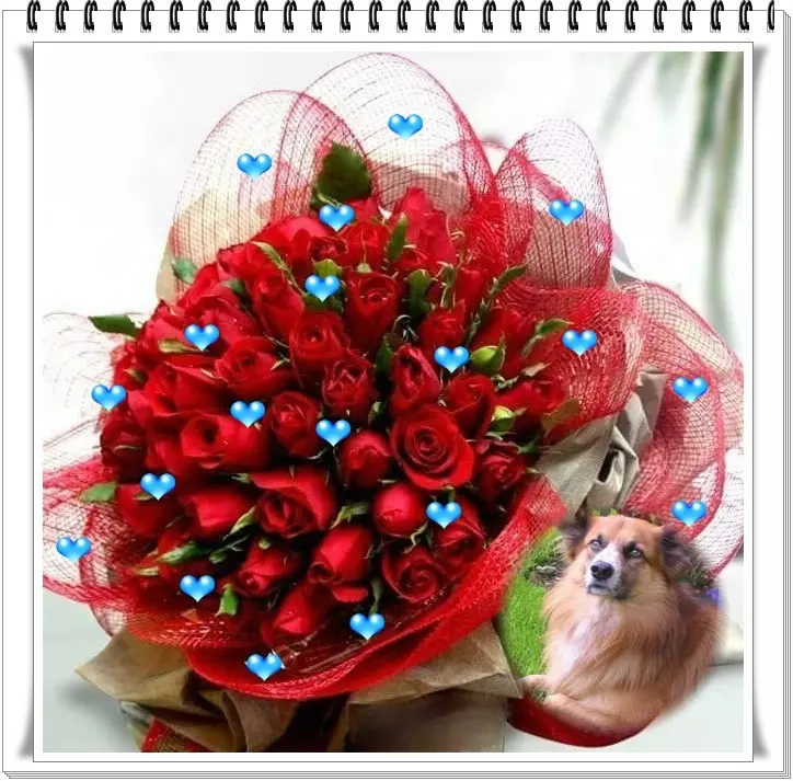 Condolence image of ❤️❤️❤️