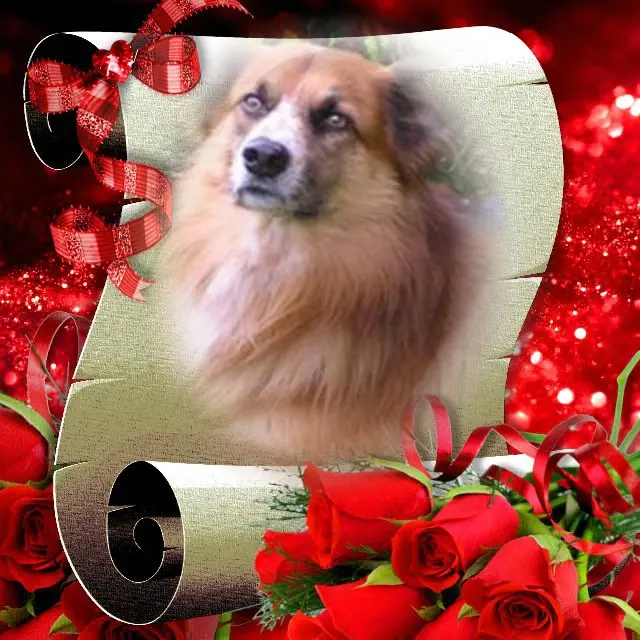 Condolence image of ❤️❤️❤️